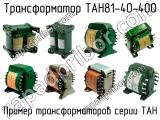 ТАН81-40-400