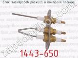 1443-650 фотография 4 блока электродов розжига и контроля пламени.