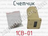 1СВ-01 фотография 2 счетчика.