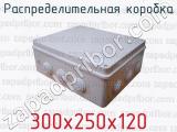 Распределительная коробка 300х250х120 