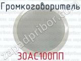 Громкоговоритель 30АС100ПП 