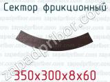 350х300х8х60 фотография 3 сектора фрикционного.