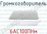 6АС100ПНм фотография 2 громкоговорителя.