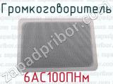 6АС100ПНм фотография 4 громкоговорителя.