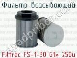 Фильтр всасывающий Filtrec FS-1-30 G1» 250u