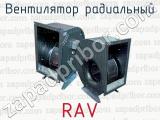 Вентилятор радиальный RAV 