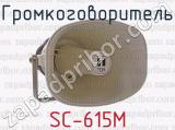 SC-615М фотография 3 громкоговорителя.