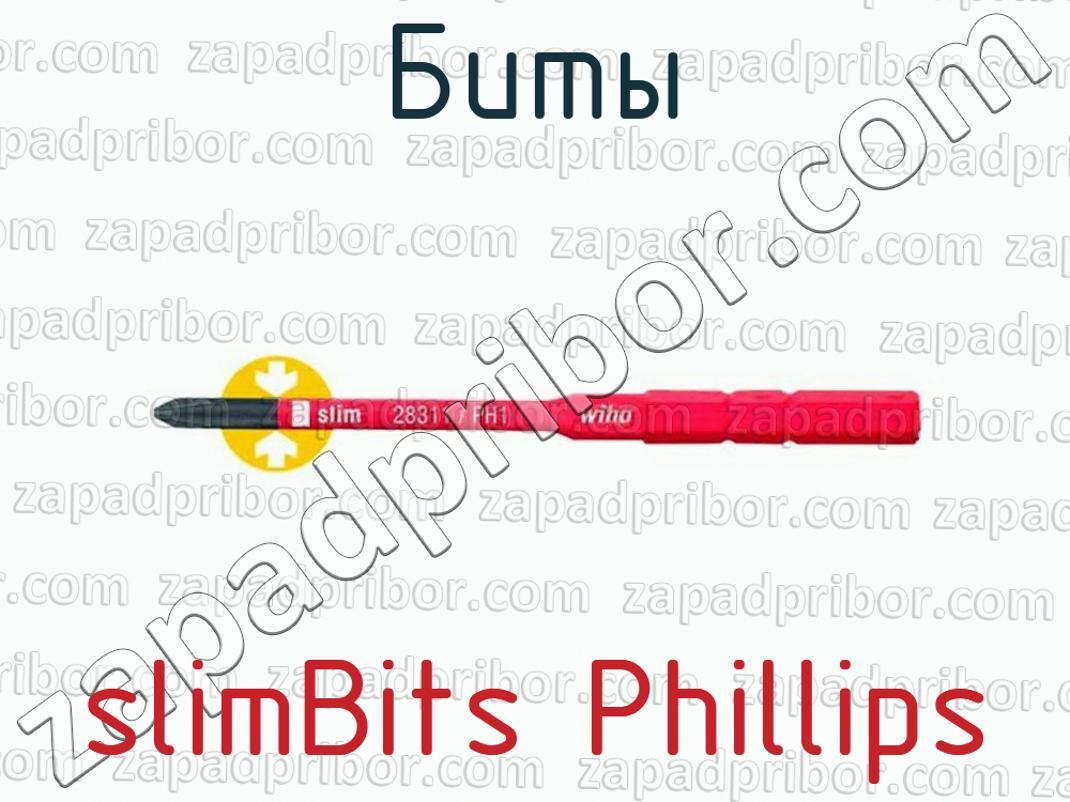 slimBits Phillips - Биты - фотография.