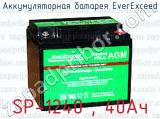 Аккумуляторная батарея EverExceed SP-1240 , 40Ач 
