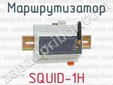 Маршрутизатор SQUID-1H 