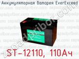 Аккумуляторная батарея EverExceed ST-12110, 110Ач 