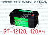 Аккумуляторная батарея EverExceed ST-12120, 120Ач 