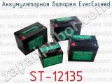 Аккумуляторная батарея EverExceed ST-12135 