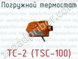 Погружной термостат TС-2 (TSC-100) 