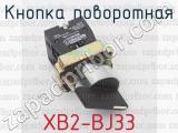 XB2-BJ33 фотография 2 кнопки поворотной.