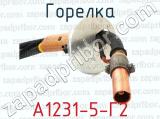 А1231-5-Г2 фотография 3 горелки.