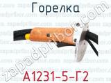 А1231-5-Г2 фотография 4 горелки.