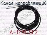 А-1231-5Г2 фотография 2 канала направляющего.