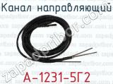 А-1231-5Г2 фотография 3 канала направляющего.
