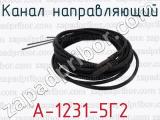 А-1231-5Г2 фотография 4 канала направляющего.