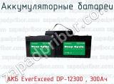Аккумуляторные батареи АКБ EverExceed DP-12300 , 300Ач 