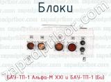БАУ-ТП-1 Альфа-М XXI и БАУ-ТП-1 (Би) фотография 4 блоков.