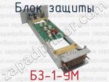 БЗ-1-УМ фотография 2 блока защиты.