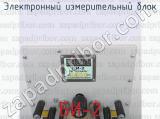 БИ-2 фотография 3 электронного измерительного блока.