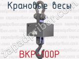 Крановые весы ВКР-100Р 