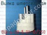 ВШ-ц-20-б-01-10/250 фотография 2 вилки штепсельной.