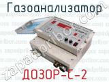 ДОЗОР-С-2 фотография 2 газоанализатора.