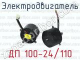 Электродвигатель ДП 100-24/110 
