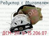 ДСМ-2П У-15.206.07 фотография 2 редуктора с двигателем.