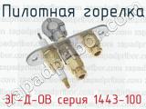 Пилотная горелка ЗГ-Д-ОВ серия 1443-100 