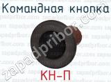КН-П фотография 4 командной кнопки.