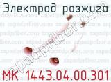 МК 1443.04.00.301 фотография 4 электрода розжига.