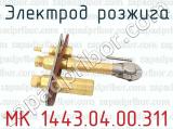 МК 1443.04.00.311 фотография 3 электрода розжига.