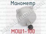 МОШ1-100 фотография 2 манометра.