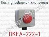 Пост управления кнопочный ПКЕА-222-1 