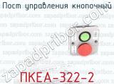 ПКЕА-322-2 фотография 2 поста управления кнопочный.