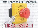 ПКЕА-822А-1 фотография 2 поста управления кнопочный.
