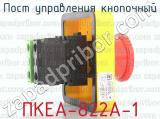 ПКЕА-822А-1 фотография 3 поста управления кнопочный.