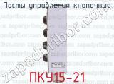 ПКУ15-21 фотография 2 постов управления кнопочные.