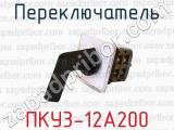 ПКУ3-12А200 фотография 2 переключателя.