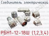 Соединитель электрический РБН1-12-18Ш (1,2,3,4) 