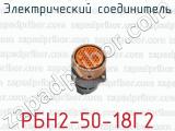 Электрический соединитель РБН2-50-18Г2 