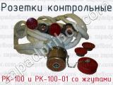 Розетки контрольные РК-100 и РК-100-01 со жгутами 