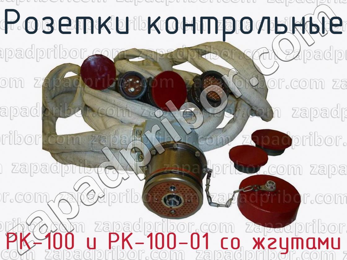 РК-100 и РК-100-01 со жгутами - Розетки контрольные - фотография.