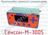 Мультигазовый переносной газоанализатор Сенсон-М-3005