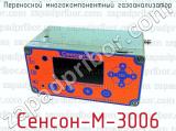 Переносной многокомпонентный газоанализатор Сенсон-М-3006 